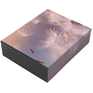 Peleman Box A4 90mm